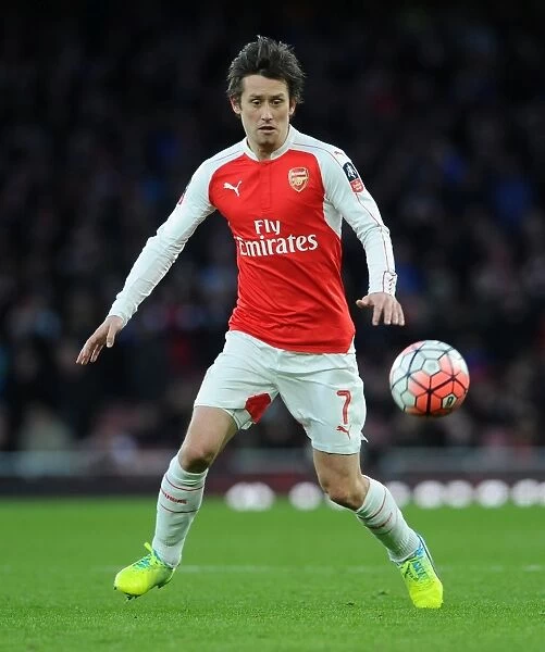 Arsenal's Rosicky in FA Cup Action: Arsenal vs Burnley (2016)