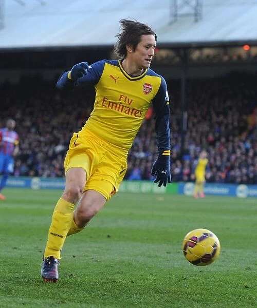Arsenal's Rosicky Fights on Against Crystal Palace (2015)