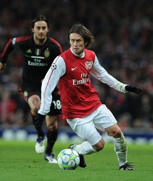 Arsenal's Rosicky Fights for Victory against AC Milan in the UEFA Champions League