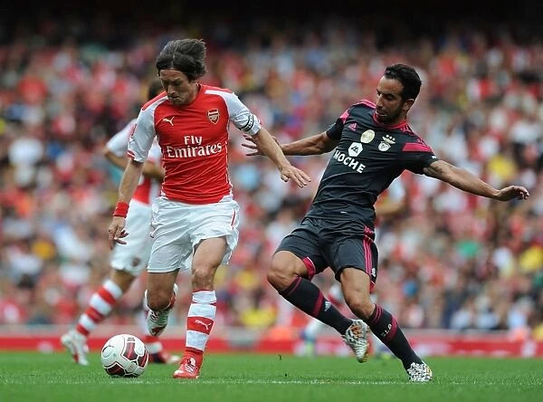Arsenal's Rosicky Outmaneuvers Benfica's Amorim at Emirates Cup
