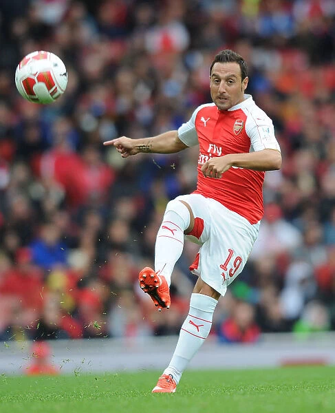 Arsenal's Santi Cazorla in Action at the Emirates Cup 2015 / 16 vs VfL Wolfsburg