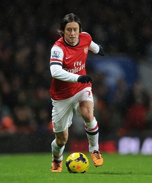 Arsenal's Tomas Rosicky in Action against Cardiff City (2013-14)