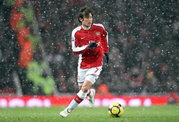 Arsenal's Tomas Rosicky in Action Against Everton during Barclays Premier League Match, Emirates Stadium (9 / 1 / 10)