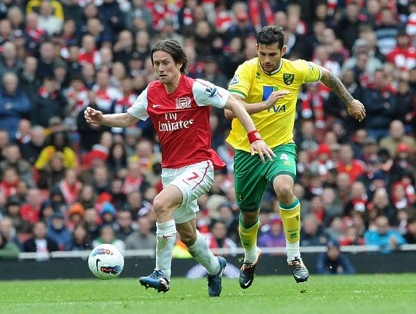 Arsenal's Tomas Rosicky Battles Norwich's Bradley Johnson in Premier League Showdown