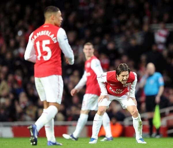 Arsenal's Tomas Rosicky Fights for Victory Against Manchester United (2011-12)