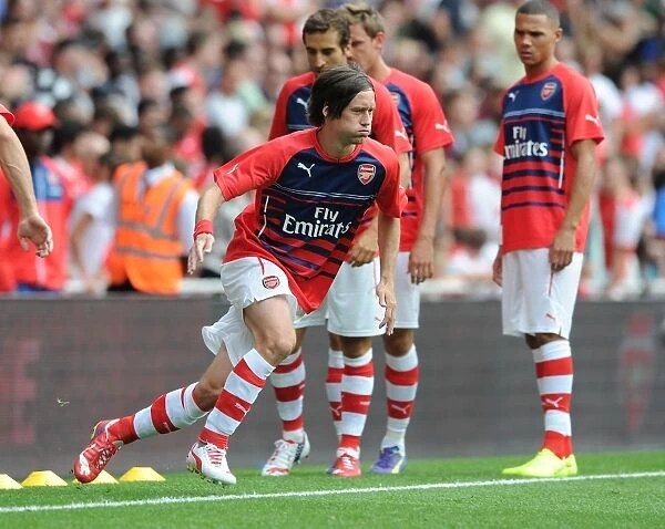 Arsenal's Tomas Rosicky Gears Up for Arsenal v Benfica at Emirates Stadium (2014-15)
