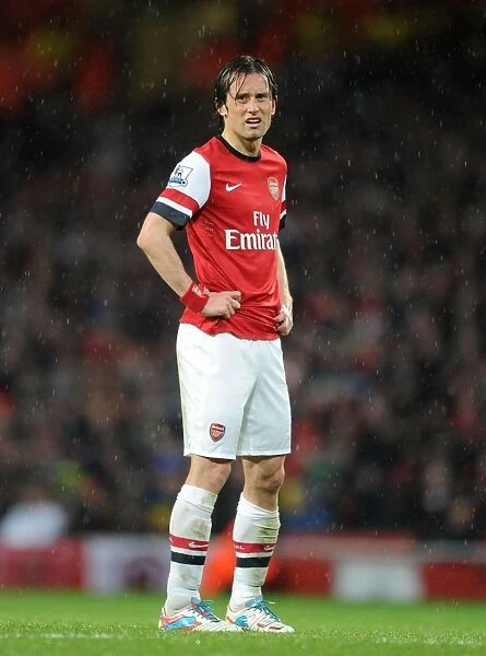 Arsenal's Tomas Rosicky Scores in 4-1 Victory over Wigan Athletic (Premier League, 14 / 5 / 13)