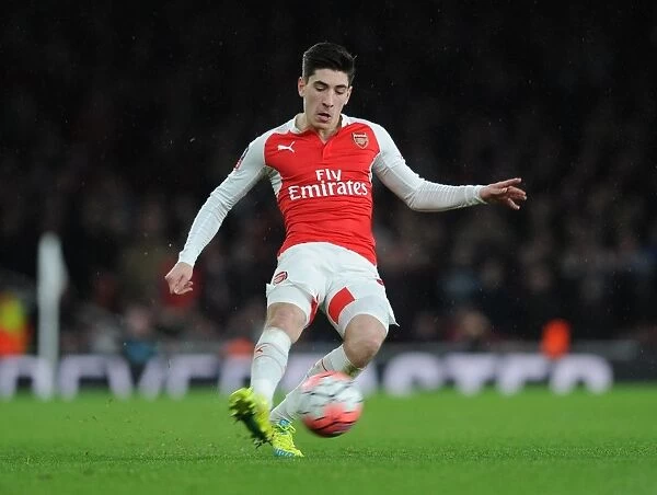 Arsenal's Triumph: Hector Bellerin's Standout Performance in FA Cup Victory over Sunderland (3-1), Emirates Stadium (January 9, 2015)