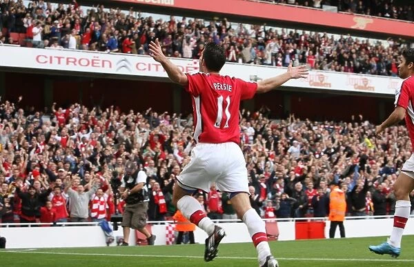 Arsenal's Triumph Over Tottenham: Robin van Persie's Epic Goal (3-0), 2009 - The Unforgettable Moment