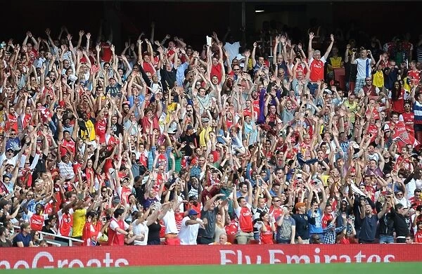 Arsenal's Unwavering Support: The Emirates Cup 2014 - A Sea of Passionate Fans