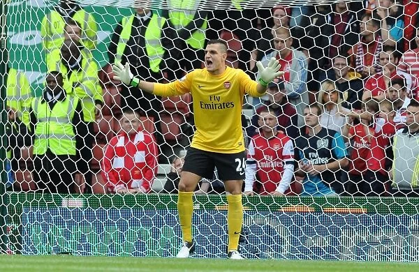 Arsenal's Vito Mannone in Action Against Stoke City (2012-13 Premier League)