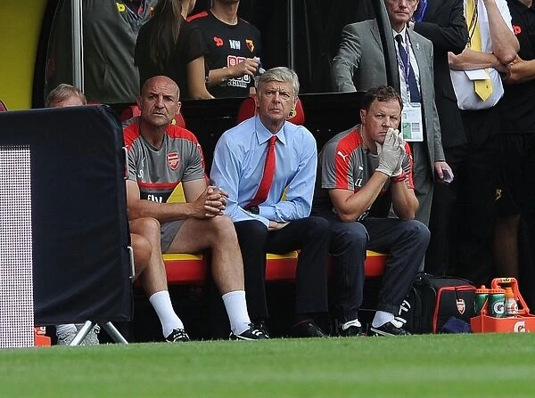 Arsene Wenger, Steve Bould, and Colin Lewin: An Intimate Look at Arsenal's Team Management during the Watford Clash (2016-17)