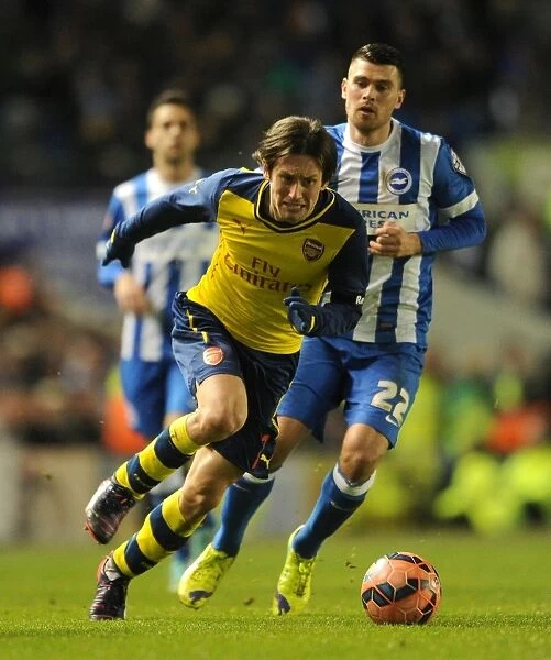 Brighton vs Arsenal: Rosicky Clashes with Holla in FA Cup Showdown