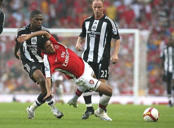 Carlos Vela (Arsenal) Charles N'Zogbia (Newcastle United)