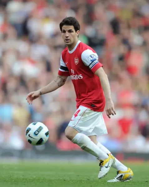 Arsenal Football Club Print: Cesc Fabregas (Arsenal) v Liverpool
