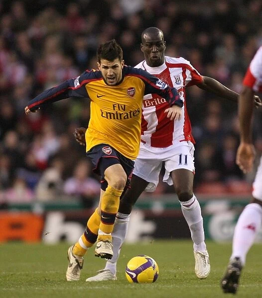 Cesc Fabregas (Arsenal) Mamady Sidibe (Stoke)