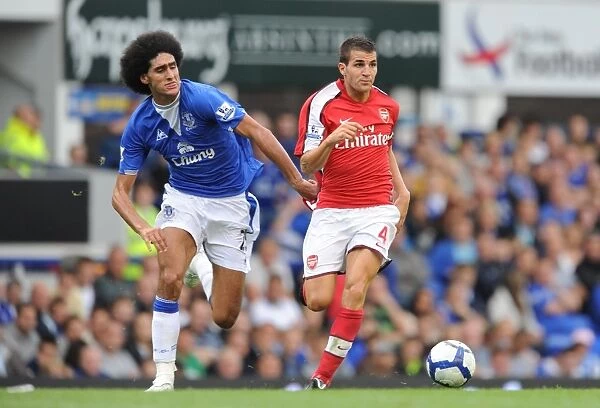 Cesc Fabregas (Arsenal) Marouane Fellaini (Everton)
