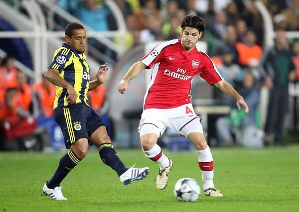 Cesc Fabregas (Arsenal) Roberto Carlos (Fenerbahce)