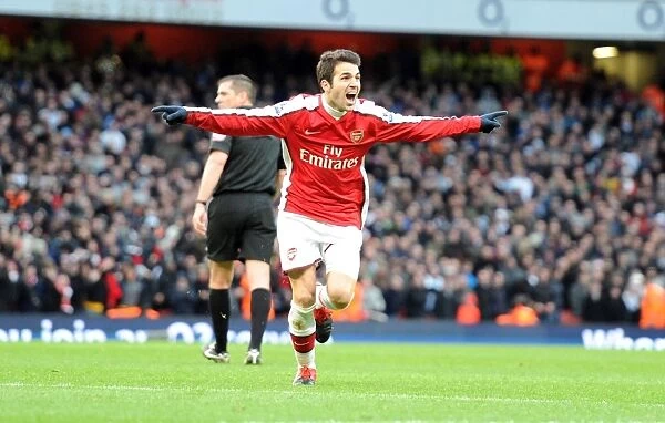Cesc Fabregas celebrates scoring the 1st Arsenal goal. Arsenal 3:0 Aston Villa, Barclays Premier League