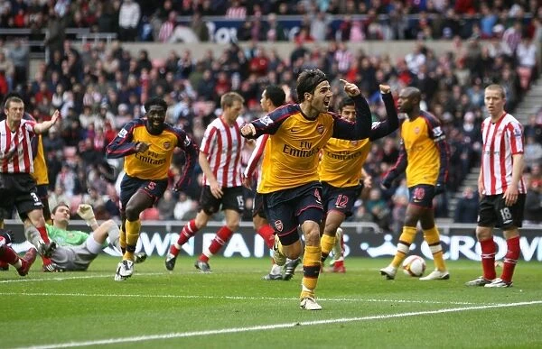 Cesc Fabregas celebrates scoring the Arsenal goal