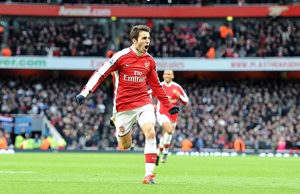 Cesc Fabregas Euphoric Moment: Arsenal's First Goal Against Aston Villa (3:0), Barclays Premier League, 2009