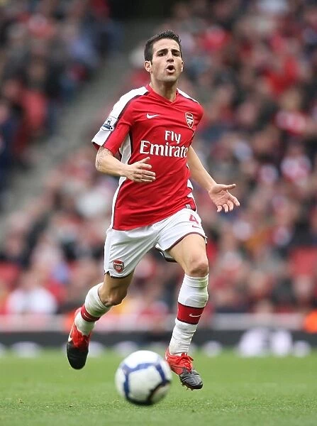 Cesc Fabregas Leads Arsenal to 3:1 Victory over Birmingham City (17 / 10 / 09)