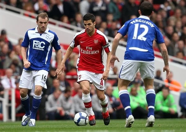 Cesc Fabregas Leads Arsenal to Victory over Birmingham City: 3-1 in the Barclays Premier League