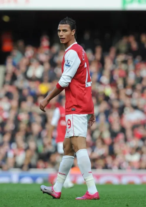 Framed Print : Chamakh Stuns Arsenal: Newcastle's 1-0 Victory Framed Print : Chamakh Stuns Arsenal: Newcastle's 1-0 Victory
