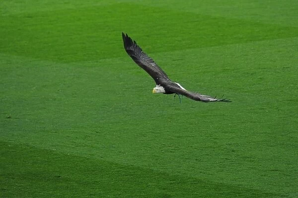 Crystal Palace eagle. Crystal Palace 3: 0 Arsenal. Premier League. Selhurst Park, 10  /  4  /  17