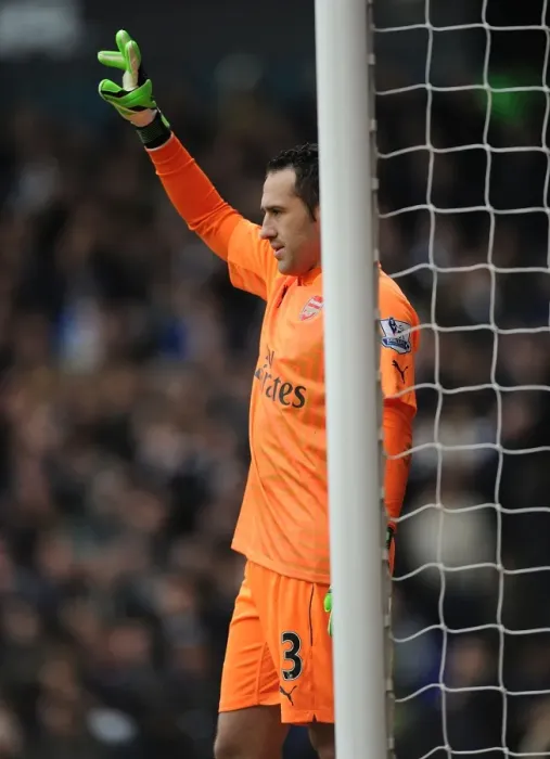 Framed Print : David Ospina vs. Tottenham Hotspur: Intense 2014-15 Premier League Showdown