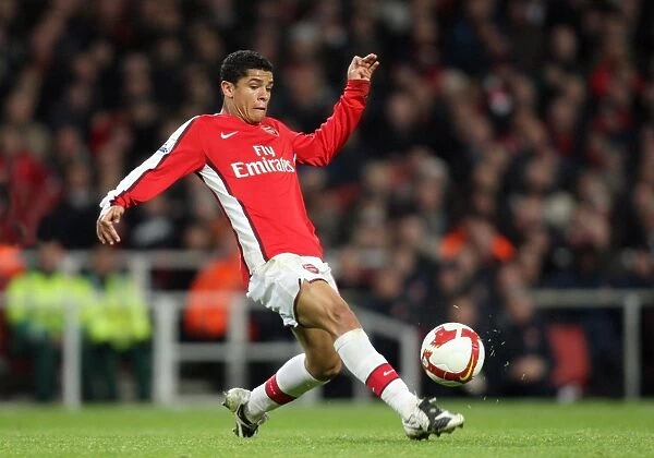 Denilson of Arsenal in Action Against Tottenham Hotspur during the Exciting 4:4 Barclays Premier League Match at Emirates Stadium, October 29, 2008