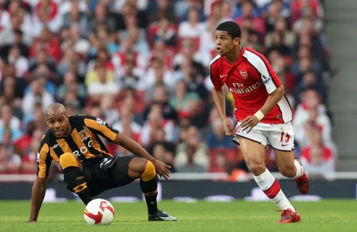 Framed Print : Denilson (Arsenal) Marlon King (Hull) Framed Print : Denilson (Arsenal) Marlon King (Hull)