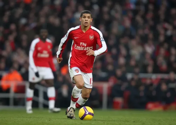 Framed Print : Denilson's Strike: Arsenal's 1-0 Victory Over Bolton Wanderers in the Barclays Premier League, Emirates Stadium (10 / 1 / 09)