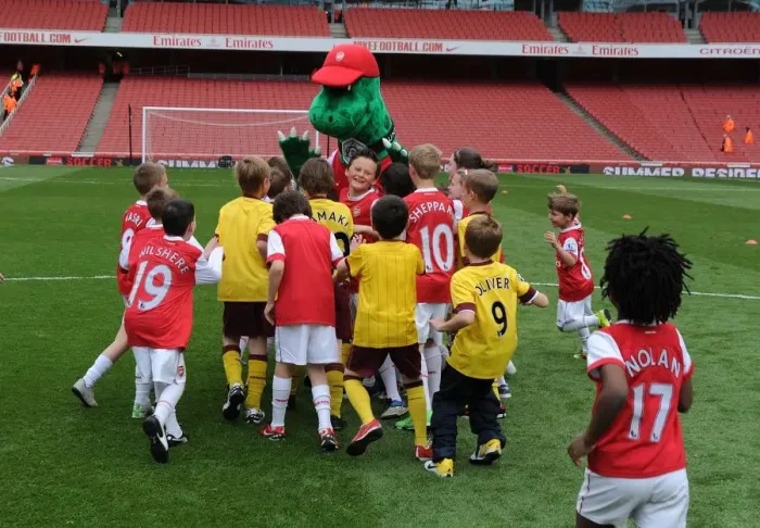 Framed Print : Determined Young Gunner Shines in Arsenal's 1:2 Loss to Aston Villa, Emiras Stadium, 2011