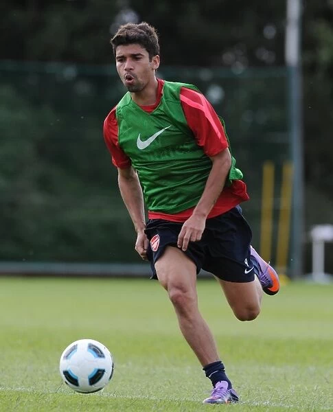 Eduardo (Arsenal). Arsenal Training Ground, London Colney, Hertfordshire, 6  /  7  /  2010