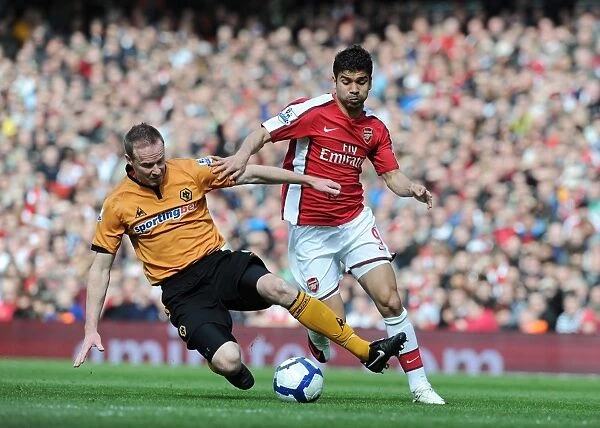 Eduardo (Arsenal) Jody Craddock (Wolves). Arsenal 1: 0 Wolverhampton Wanderers