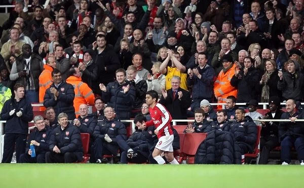 Eduardo celebrates scoring his 2nd goal Arsenals 3rd