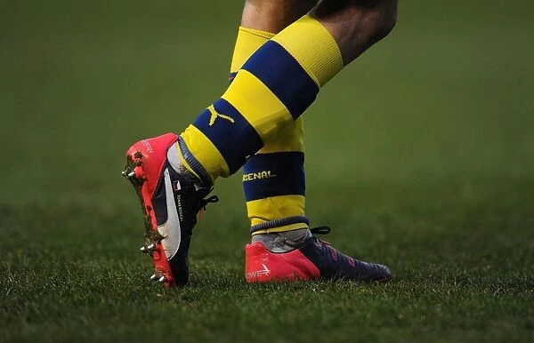 FA Cup: Rosicky's Boots on Brighton's Turf - Arsenal vs. Brighton & Hove Albion