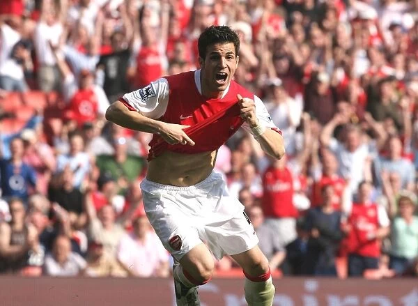 Fabregas Stunner: Arsenal Takes 2-1 Lead vs. Bolton Wanderers, FA Premiership, 2007