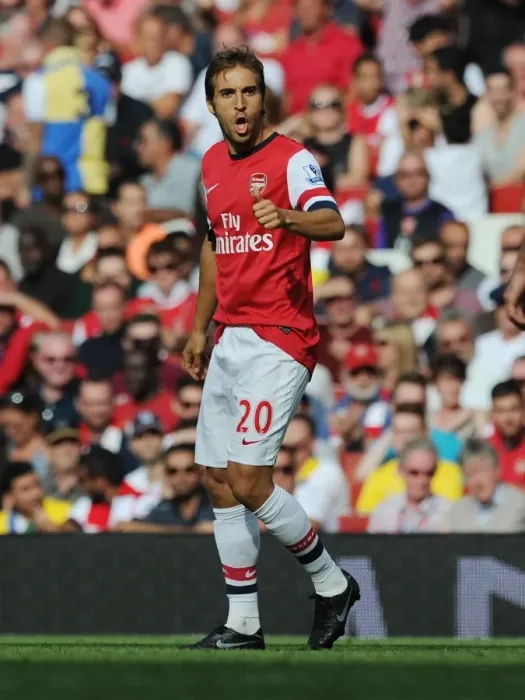 Framed Print : Flamini in Action: Arsenal vs. Tottenham, Premier League 2013-14