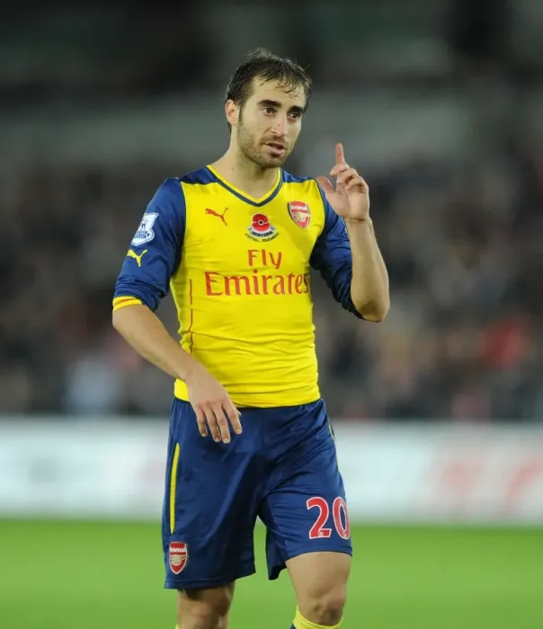 Framed Print : Flamini in Action: Swansea vs Arsenal, Premier League 2014-15 Framed Print : Flamini in Action: Swansea vs Arsenal, Premier League 2014-15