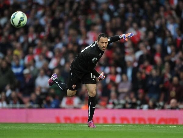 Focused David Ospina: Arsenal vs Swansea City, Premier League 2014 / 15