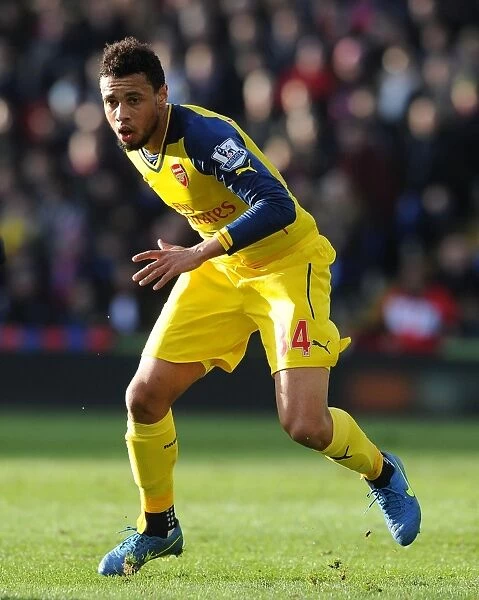 Francis Coquelin: In Action for Arsenal Against Crystal Palace (2015)