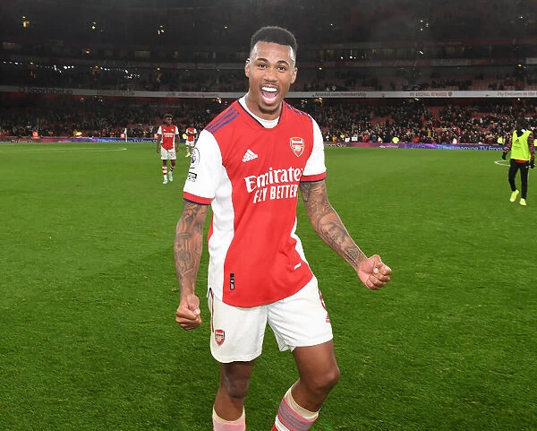 Gabriel's Goal: Arsenal Secures Victory Over Aston Villa