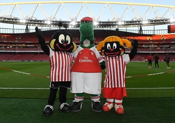 Gunner with the Brentford mascots. Arsenal 3:1 Brentford. Carabao Cup. 3rd Round