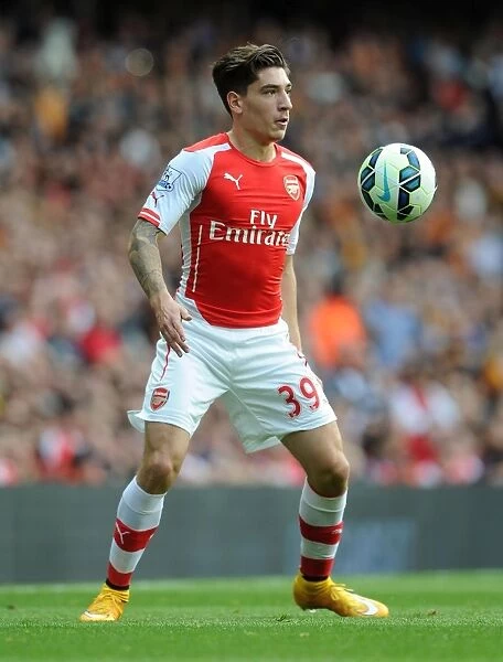 Hector Bellerin: Arsenal's Determined Defender in Action against Hull City, Premier League 2014-15
