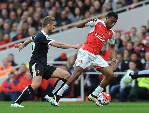 Iwobi vs. Abdi: Clash at Emirates - Arsenal vs. Watford, Premier League 2015-16