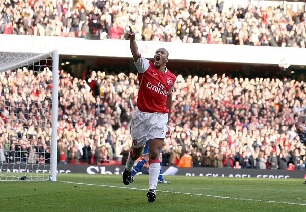 Julio Baptista's Goal: Arsenal's 2-1 Victory Over Reading, FA Premiership, Emirates Stadium (March 3, 2007)