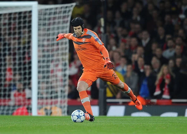 LONDON, ENGLAND - OCTOBER 20: Petr Cech of Arsenal during the UEFA Champions League match between Arsenal