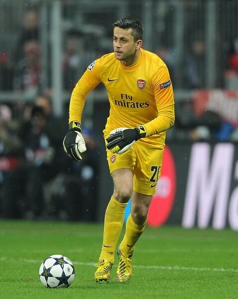 Lukasz Fabianski: Arsenal's Unyielding Guardian at Bayern Munich's Allianz Arena (UEFA Champions League 2012-13)
